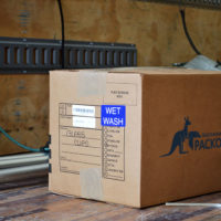 Blue Kangaroo Packoutz Franchise packing box